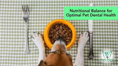 Nutritional Balance for Optimal Pet Dental Health