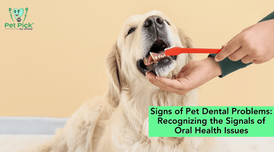 Signs of Pet Dental Problems: Recognizing the Signals of Oral Health Issues