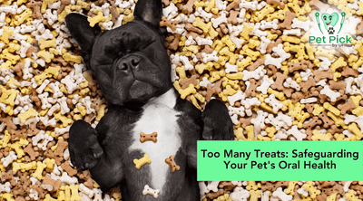 Too Many Treats and Snacks: Safeguarding Your Pet's Oral Health