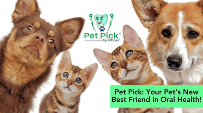 Pet Pick: Your Pet's New Best Friend in Oral Health!