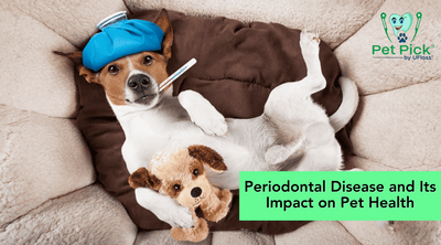 Periodontal Disease and Its Impact on Pet Health
