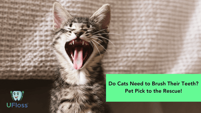 Do Cats Need to Brush Their Teeth? Pet Pick to the Rescue!